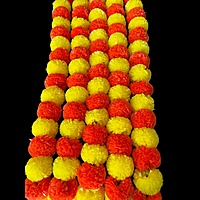 Genda lari 5 pcs ( each 5 feet ) artificial marigold garland (orange/yellow) colour