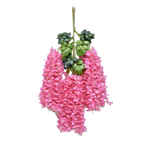 Wisteria Hanging For Decoration PINK colour ( 6 pcs )